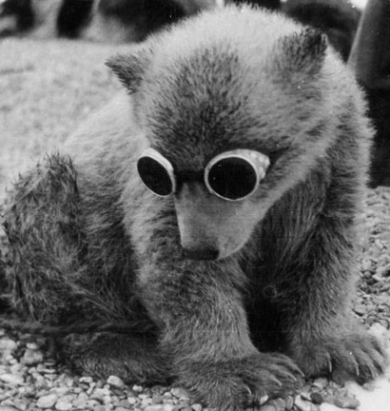 Maholmire@shitpost.cloud